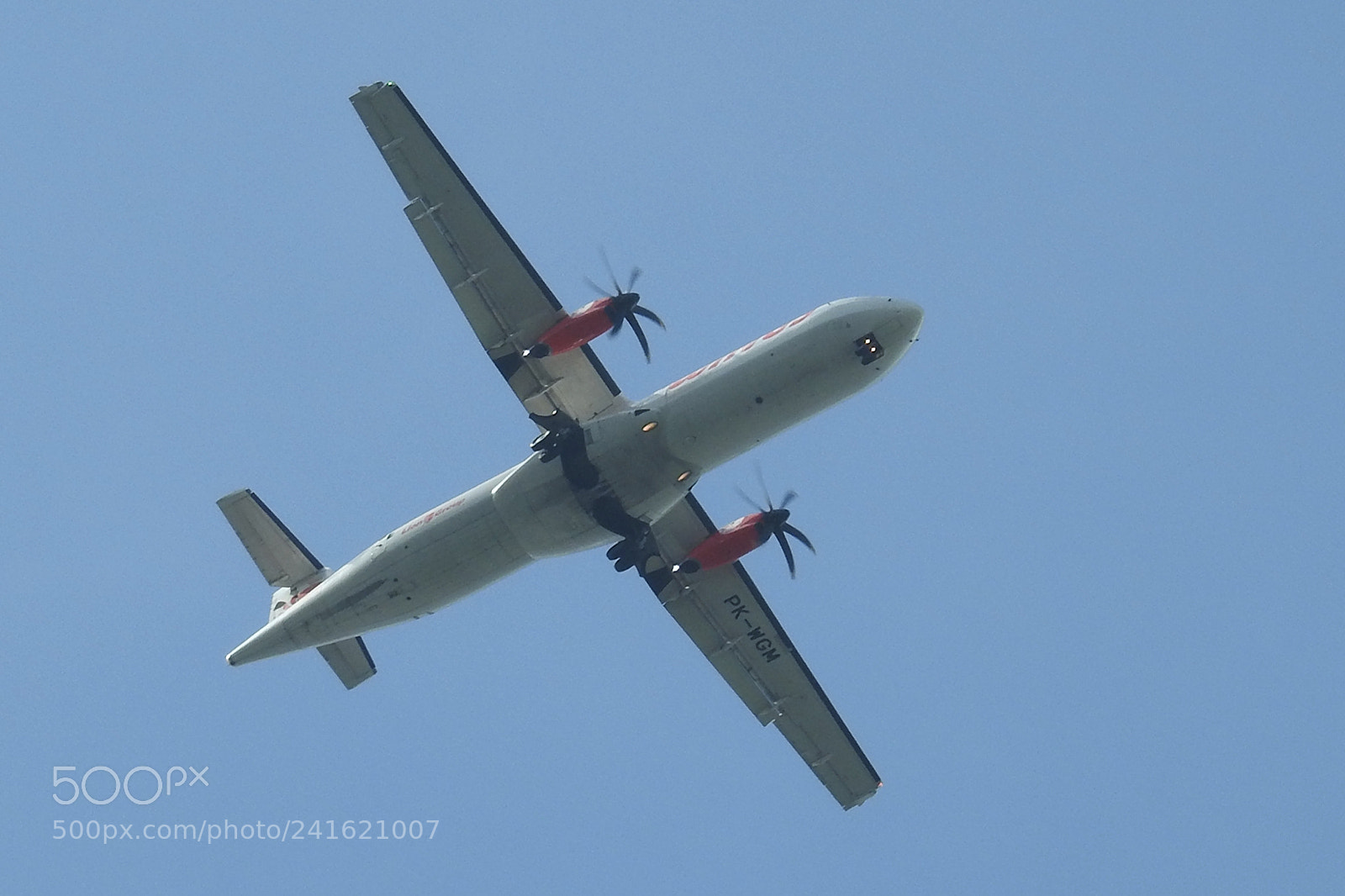 Nikon Coolpix P900 sample photo. Wings air photography