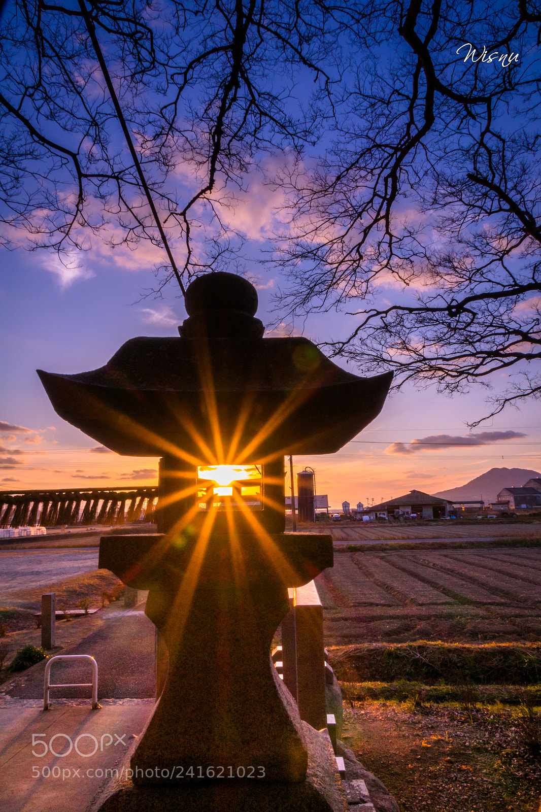 Sony Cyber-shot DSC-RX10 II sample photo. The lantern of hope photography