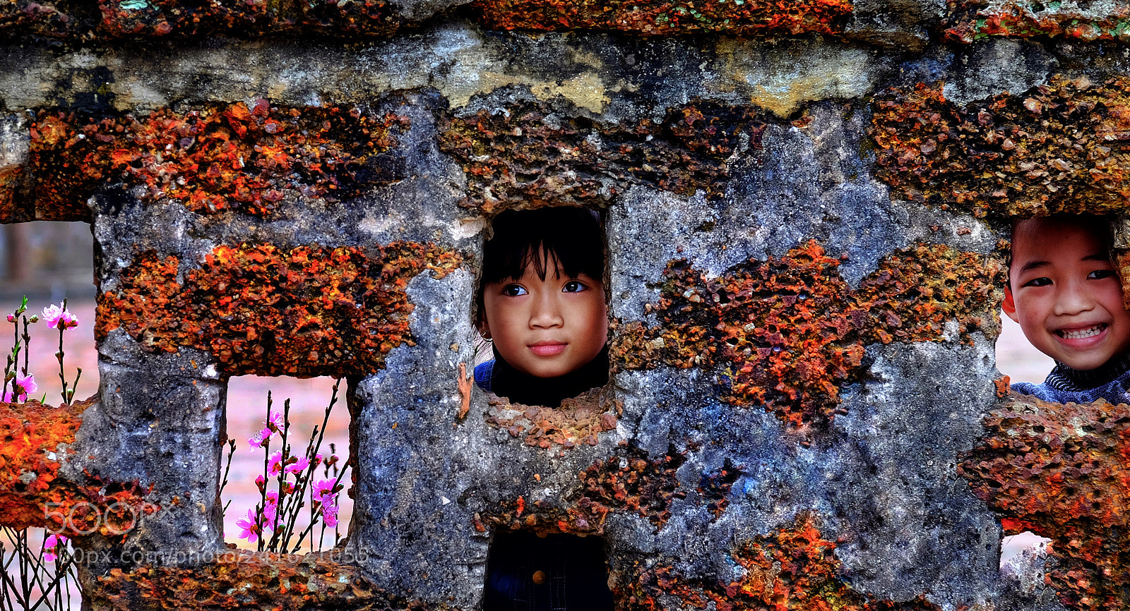 Fujifilm X-E2S sample photo. Untitled photography