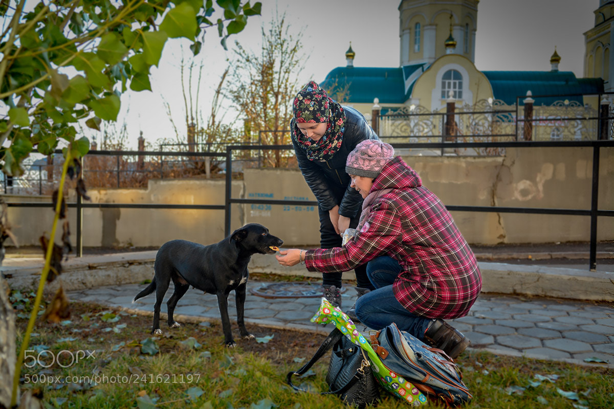 Nikon D7100 sample photo. 333.jpg photography