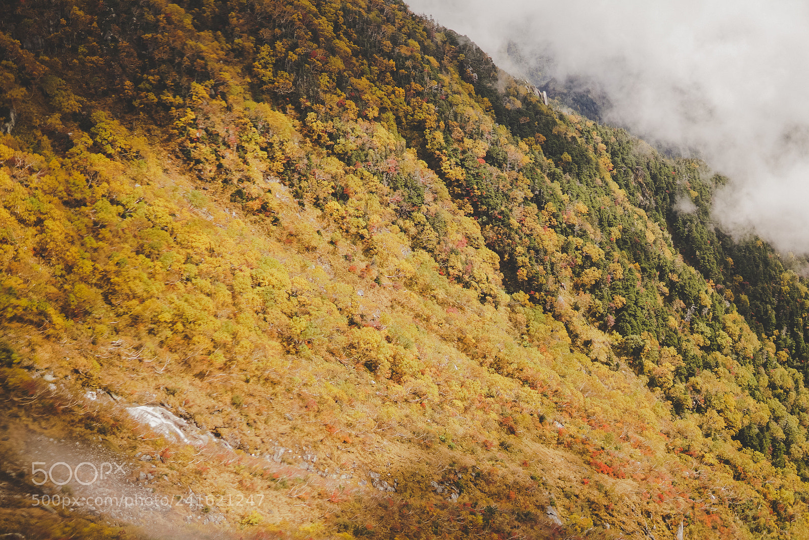 Sony a6500 sample photo. Dsc01034-1.jpg photography