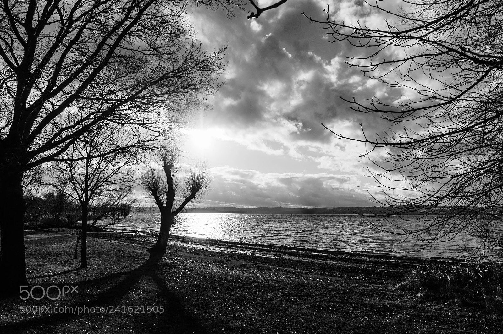 Sony Alpha NEX-6 sample photo. Wintertime i photography