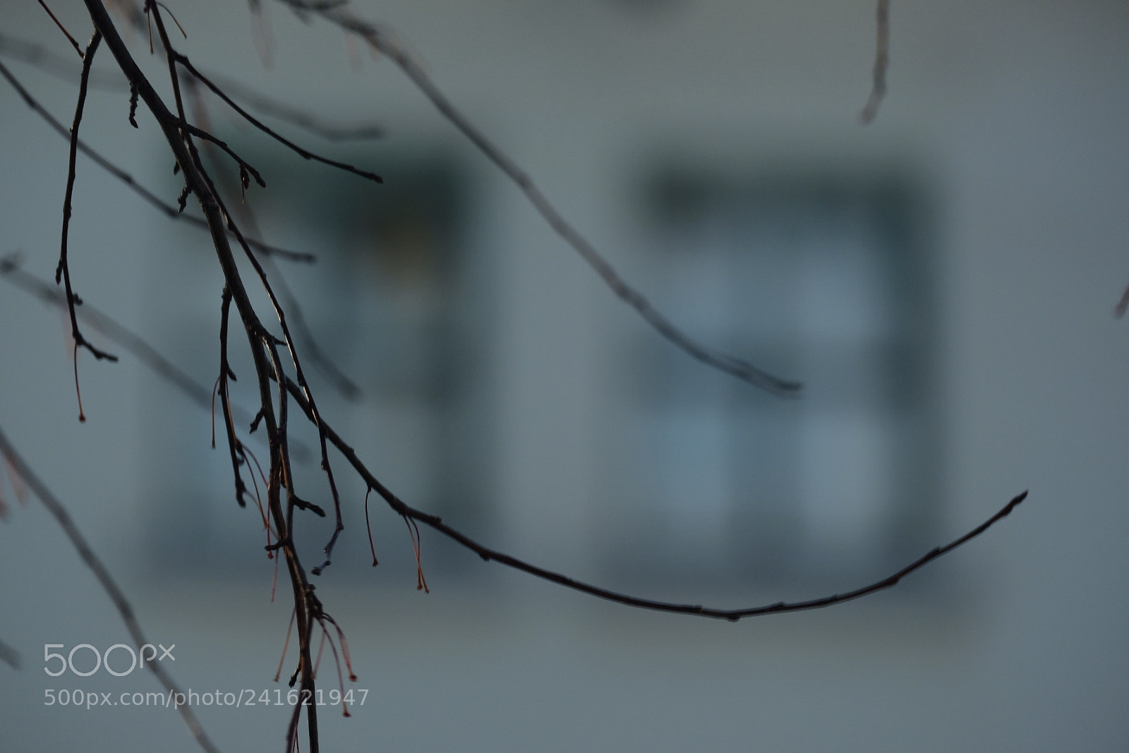 Fujifilm X-Pro2 sample photo. Untitled photography