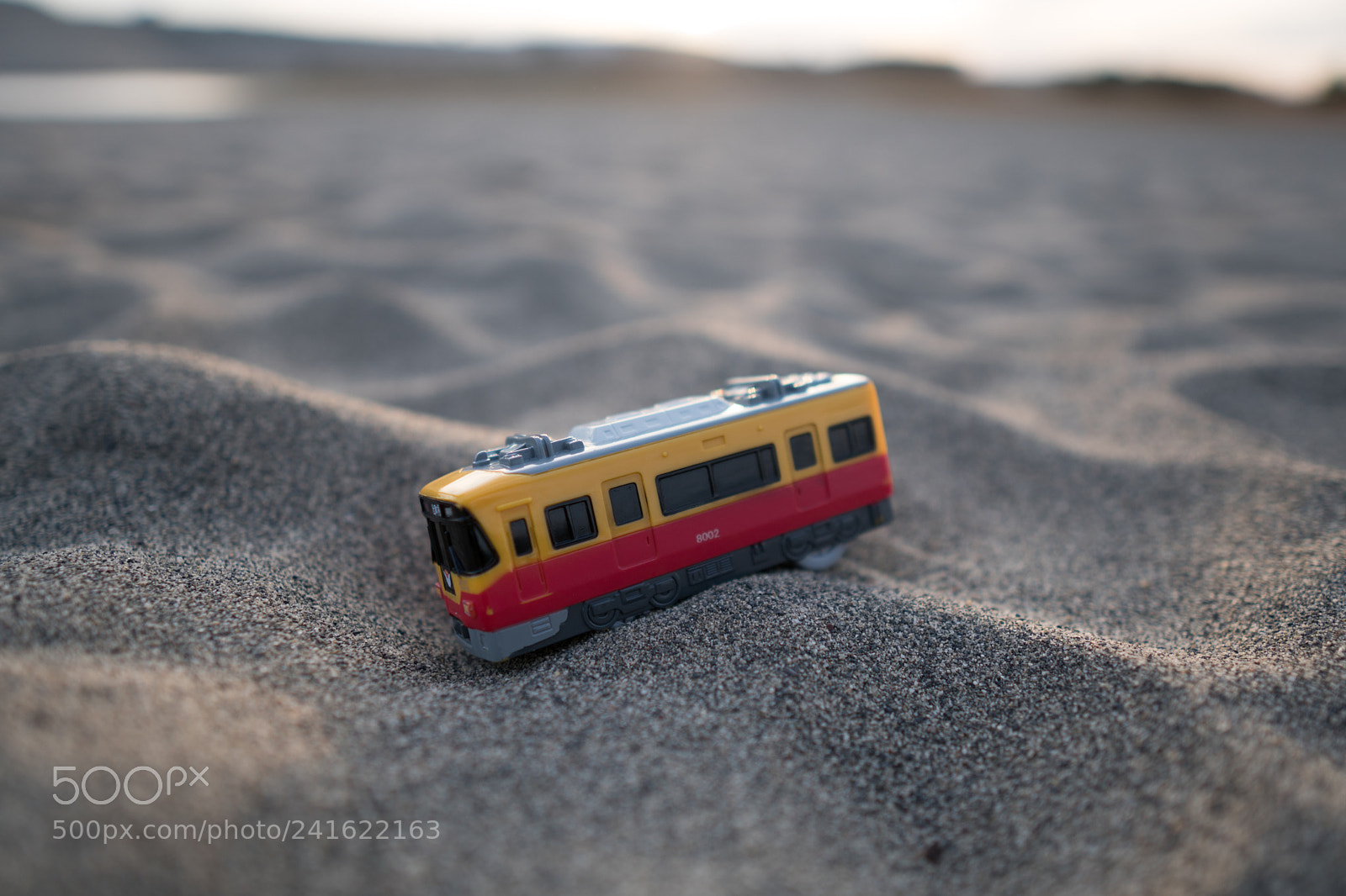 Sony a6500 sample photo. Dsc photography