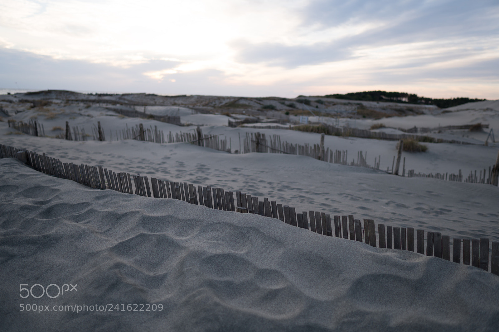 Sony a6500 sample photo. Dsc photography