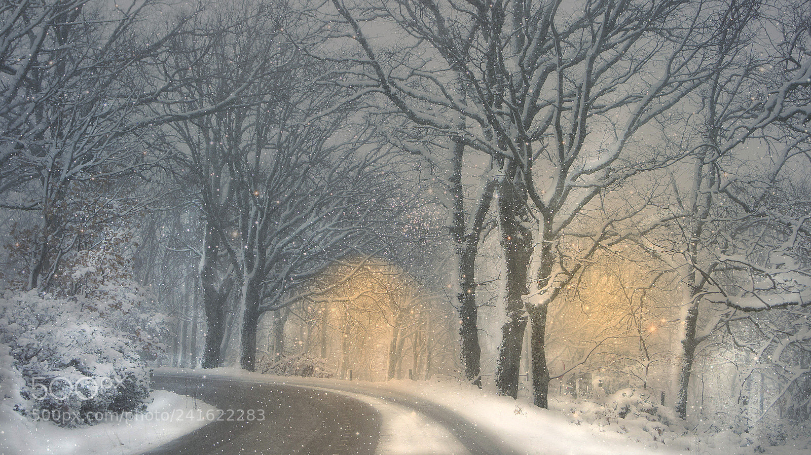 Sony SLT-A33 sample photo. My magical winter photography
