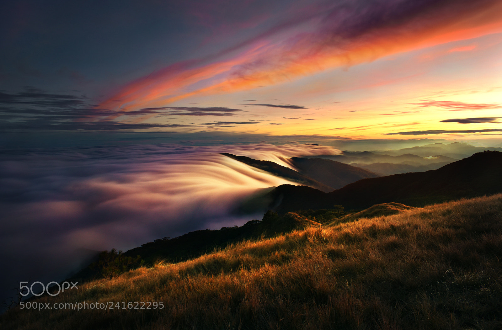 Nikon D3400 sample photo. Sea of clouds, mt photography