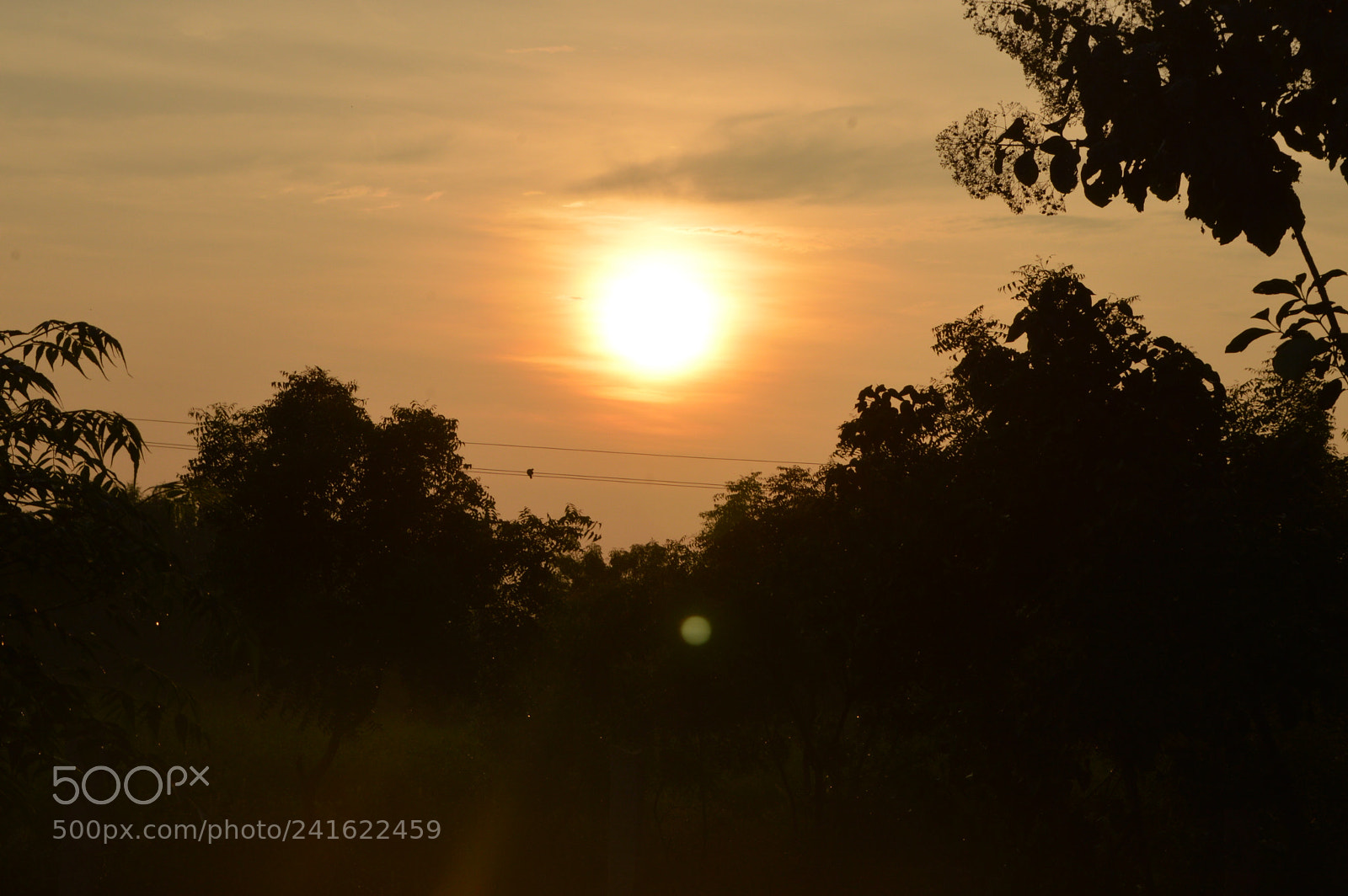 Nikon D3200 sample photo. Untitled photography