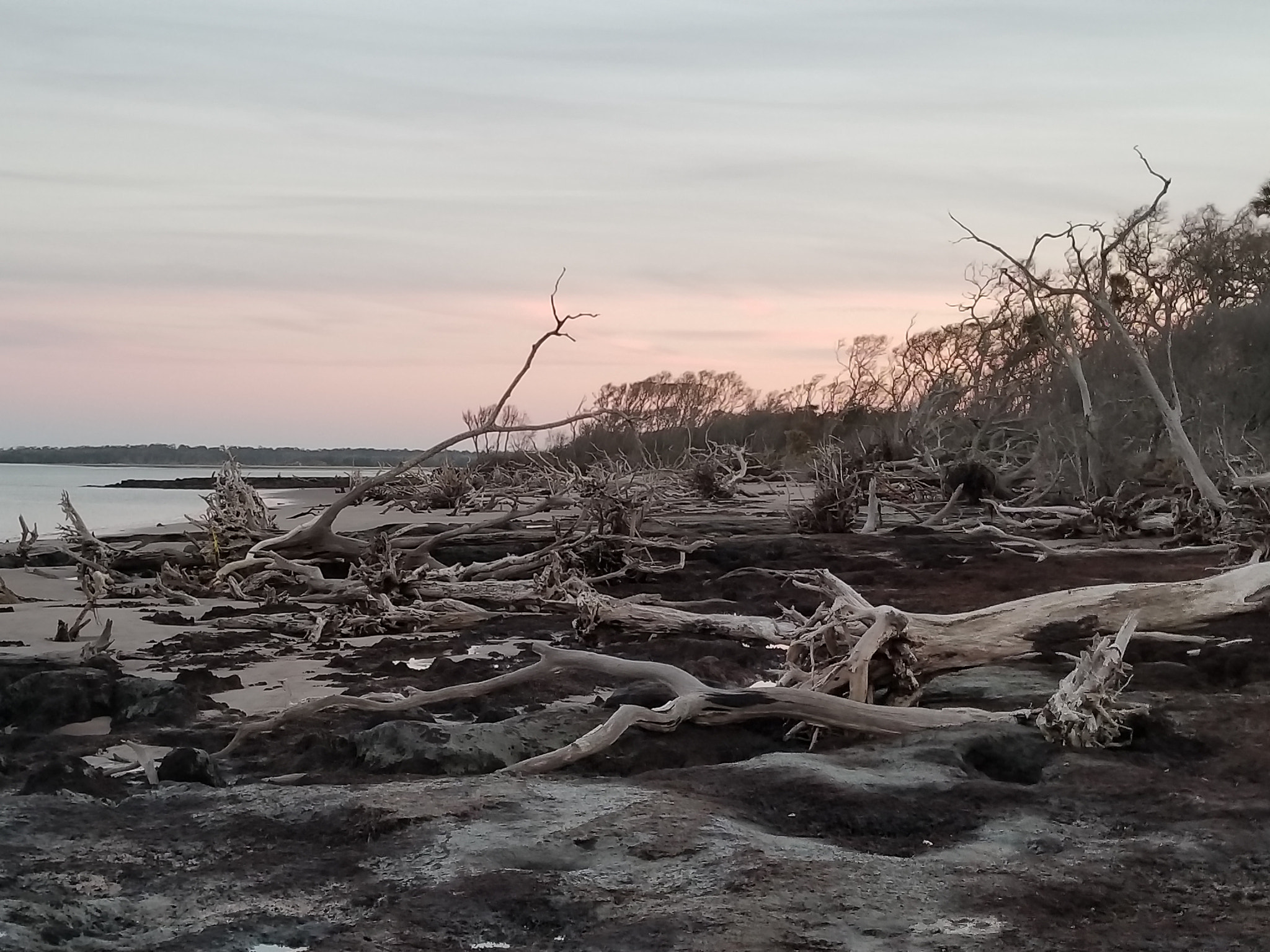 Samsung Galaxy S8 Active sample photo. Blackrock photography