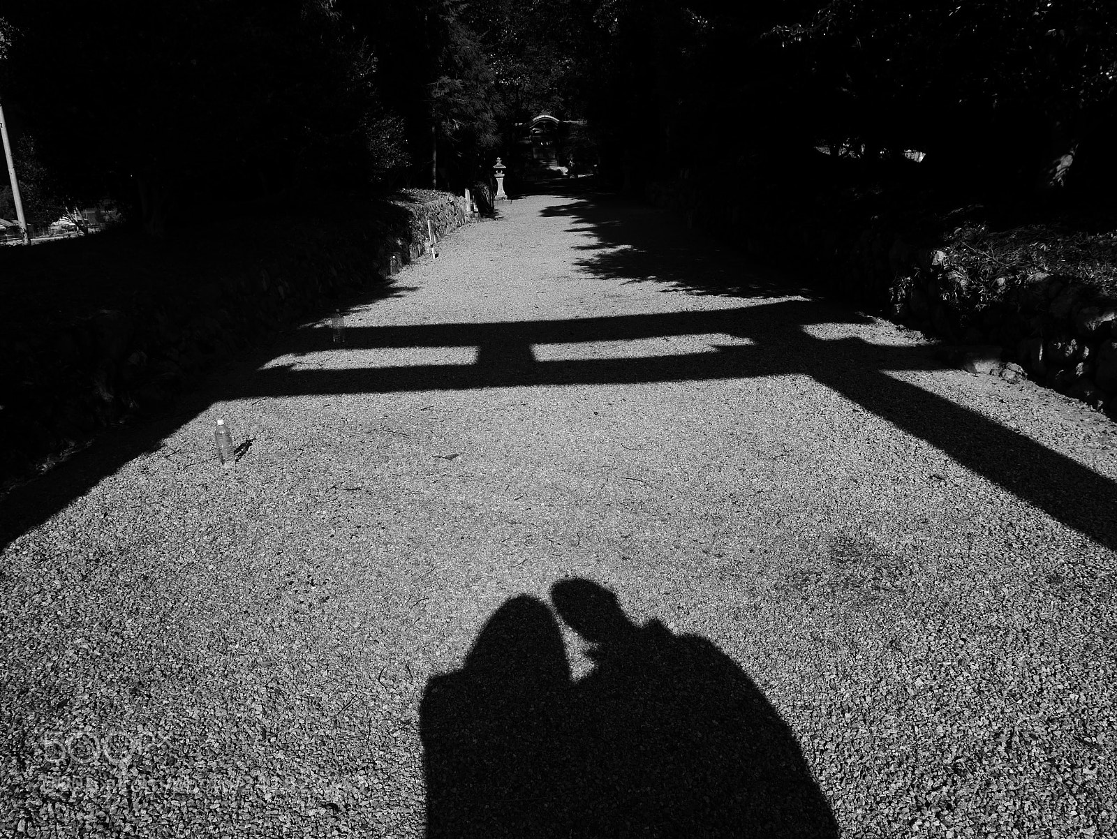 Panasonic Lumix DMC-GF7 sample photo. Untitled photography