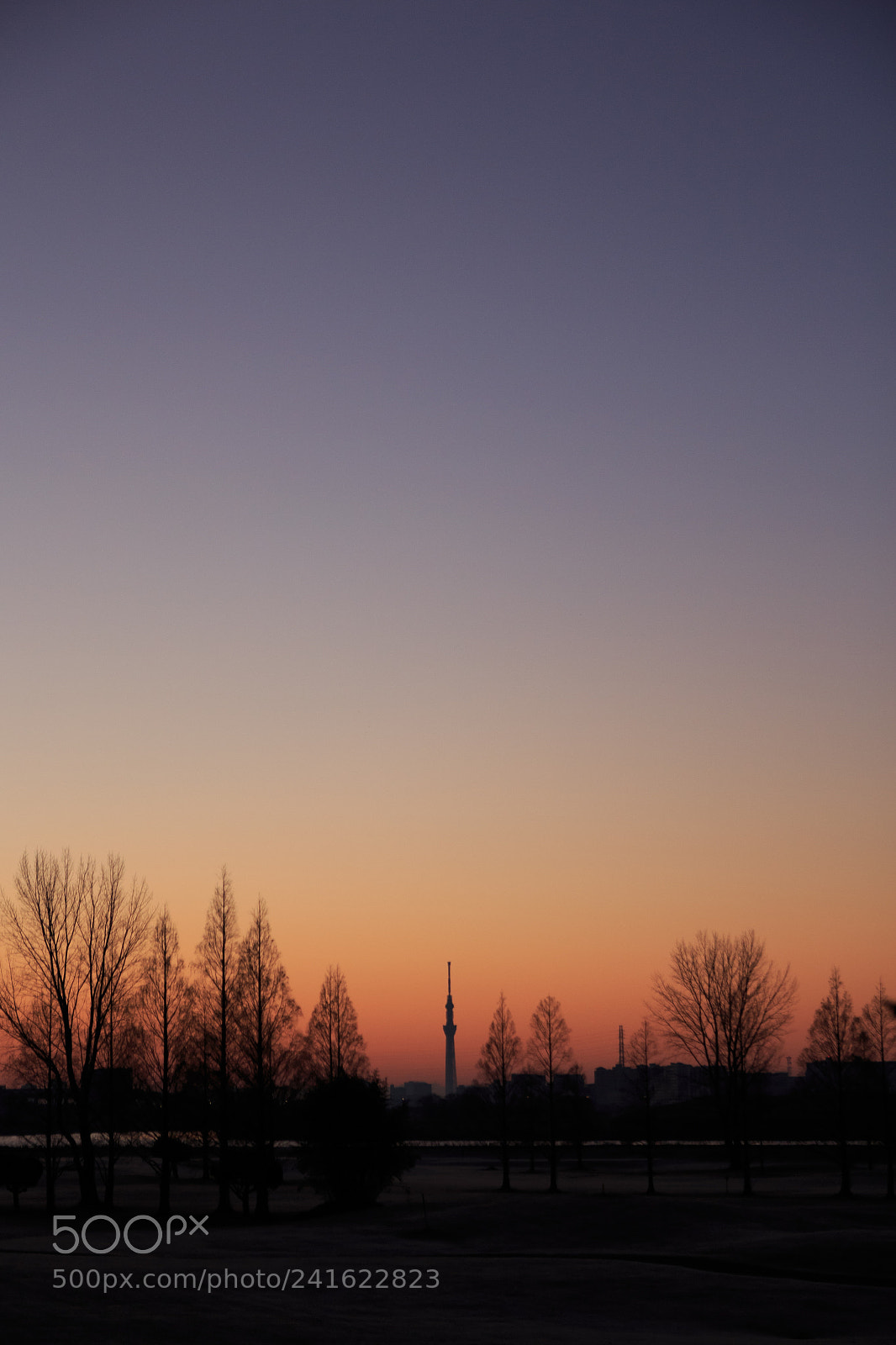 Canon EOS 650D (EOS Rebel T4i / EOS Kiss X6i) sample photo. Skytree sunrise photography