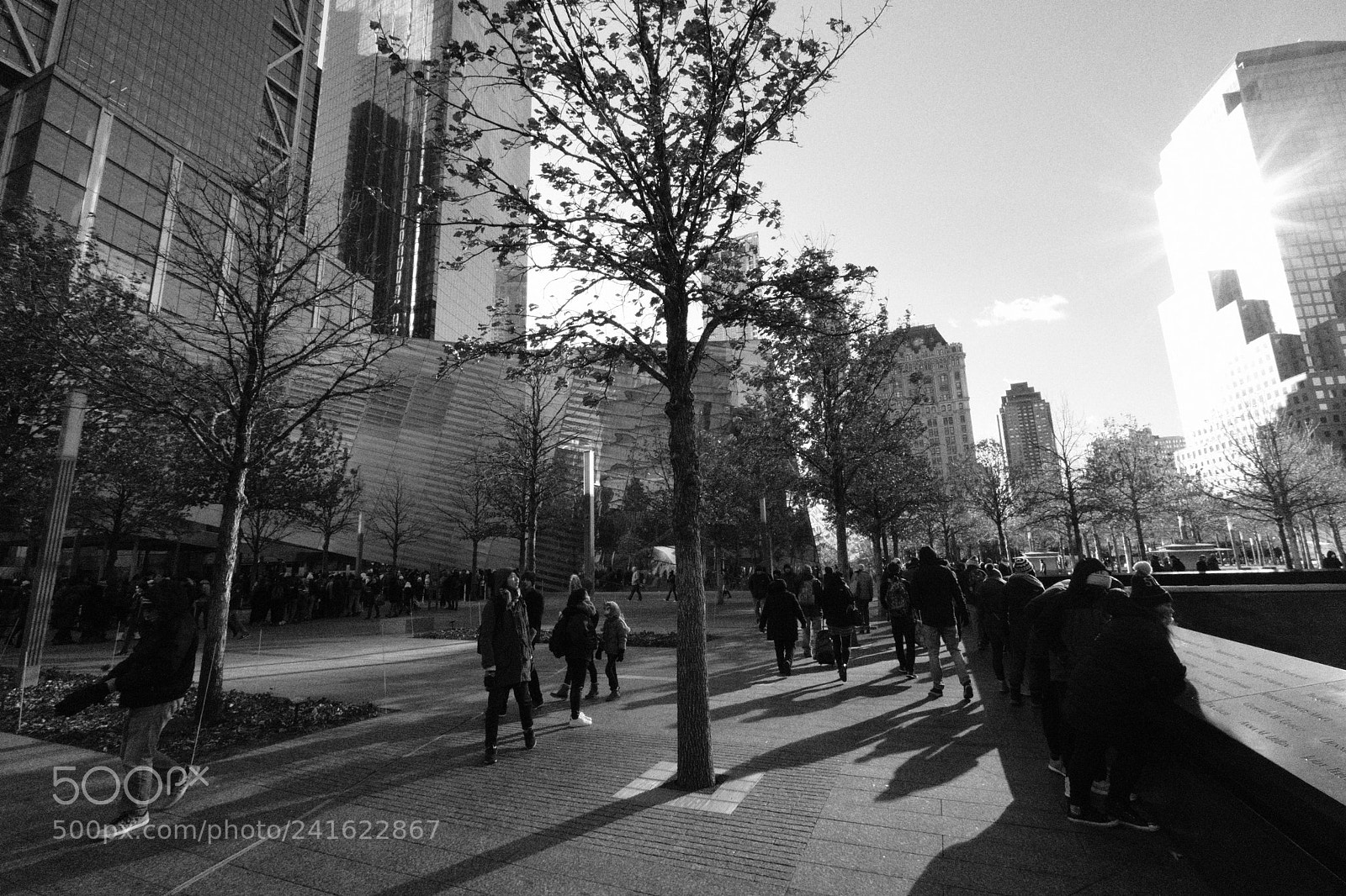 Fujifilm X-T2 sample photo. Untitled photography