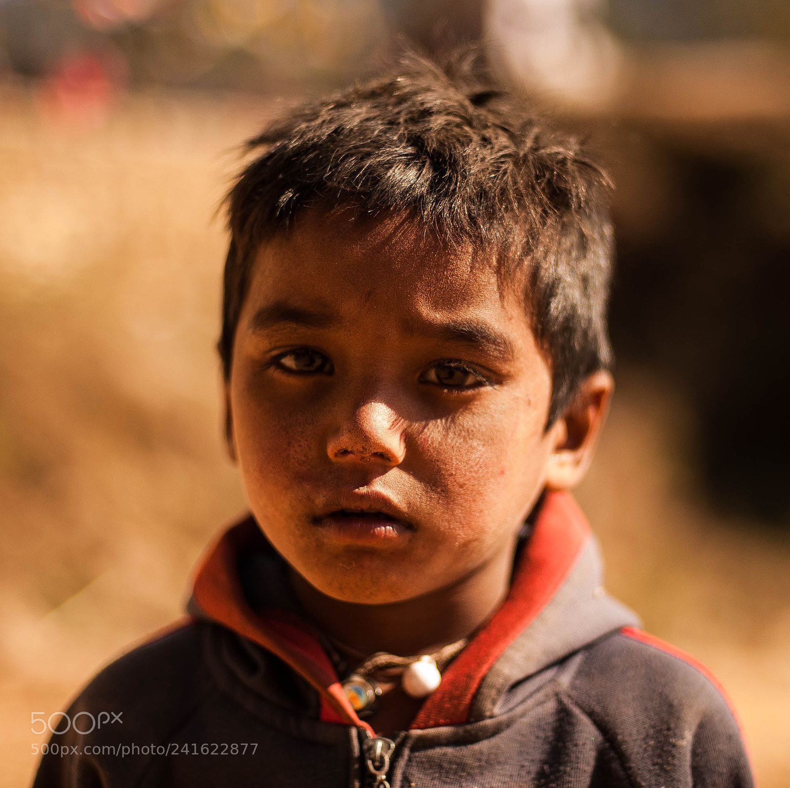 Nikon D700 sample photo. Nepali boy photography