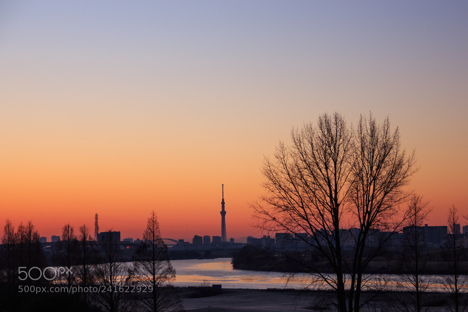 Canon EOS 650D (EOS Rebel T4i / EOS Kiss X6i) sample photo. Skytree sunrise photography