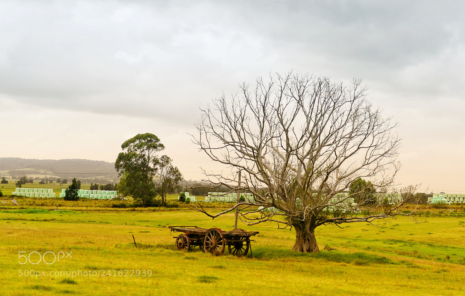 Nikon D800E sample photo. Somewhere in australia photography