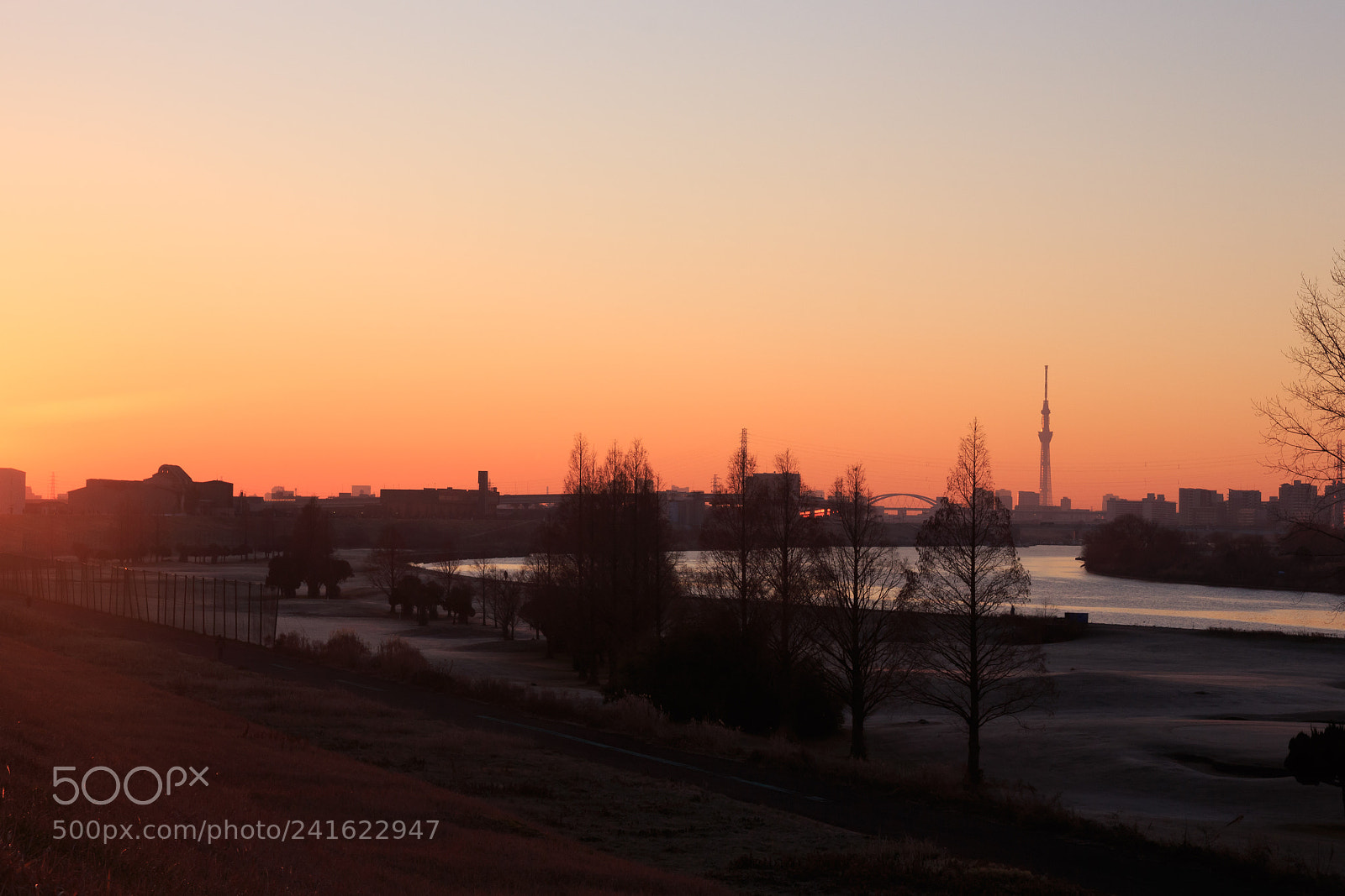 Canon EOS 650D (EOS Rebel T4i / EOS Kiss X6i) sample photo. Skytree sunrise photography