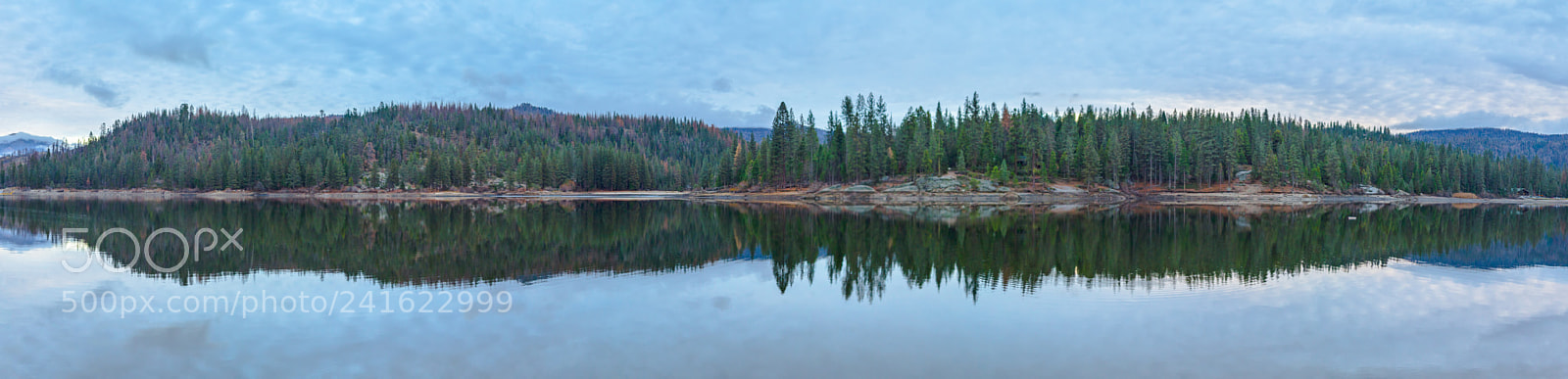 Sony SLT-A58 sample photo. Hume lake sequoia kings photography