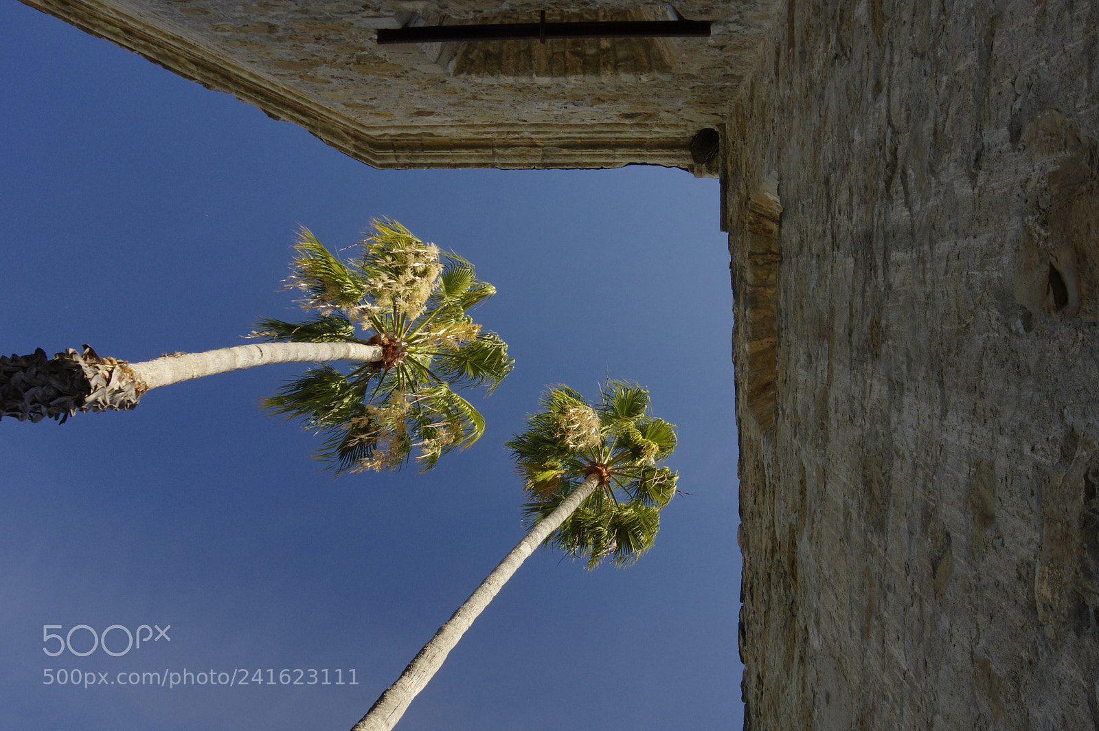 Pentax K-3 sample photo. Palms and walls photography
