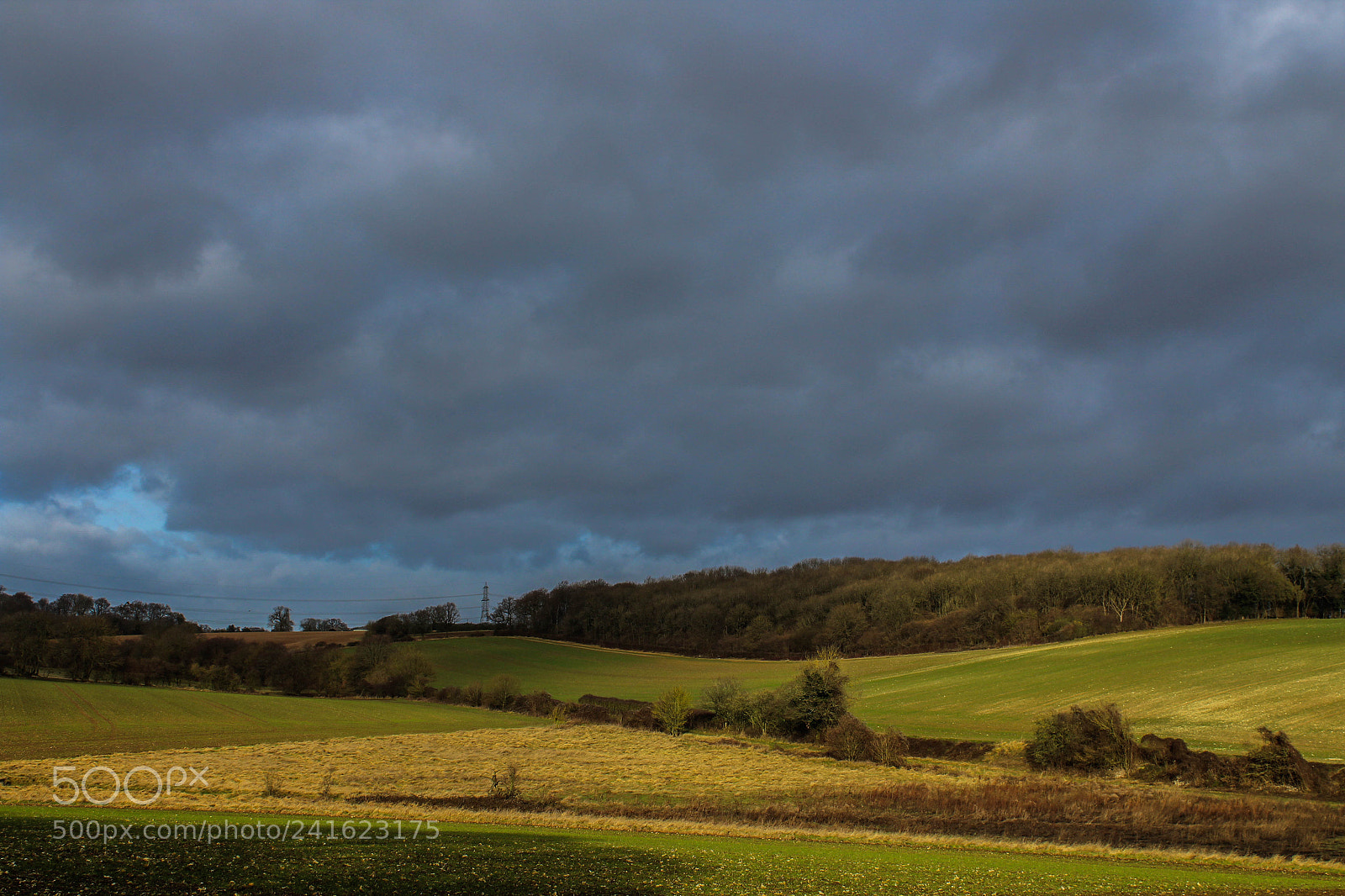 Canon EOS 1300D (EOS Rebel T6 / EOS Kiss X80) sample photo. Hinxworth photography