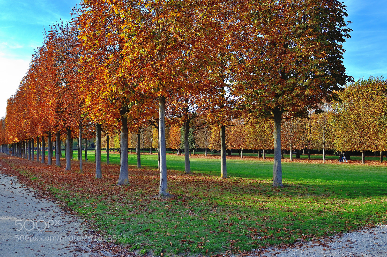 Nikon D3200 sample photo. Alignment photography
