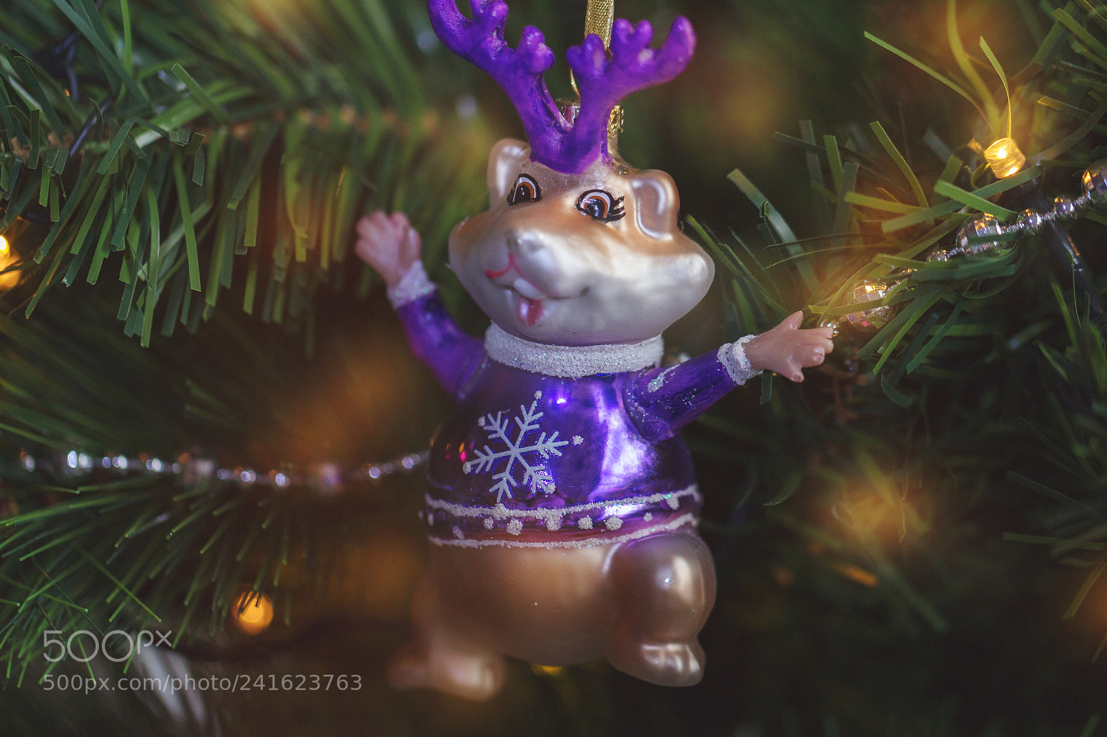 Canon EOS 650D (EOS Rebel T4i / EOS Kiss X6i) sample photo. Christmas humster photography