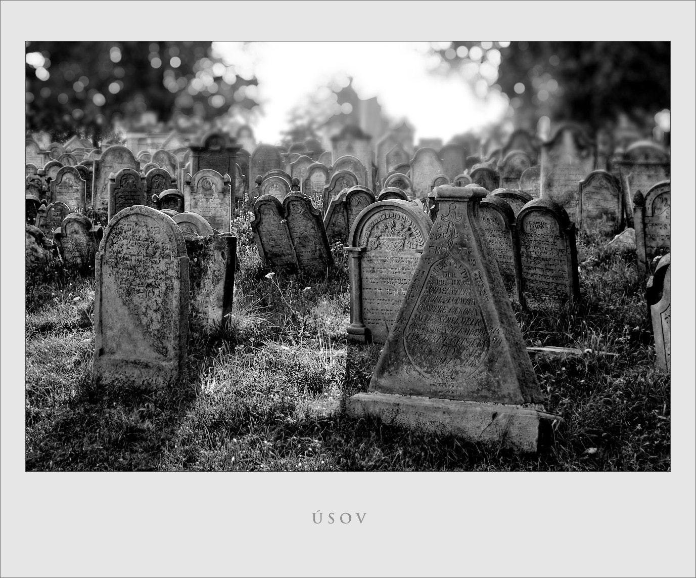 Canon EOS 100D (EOS Rebel SL1 / EOS Kiss X7) sample photo. Úsov - jewish cemetery photography