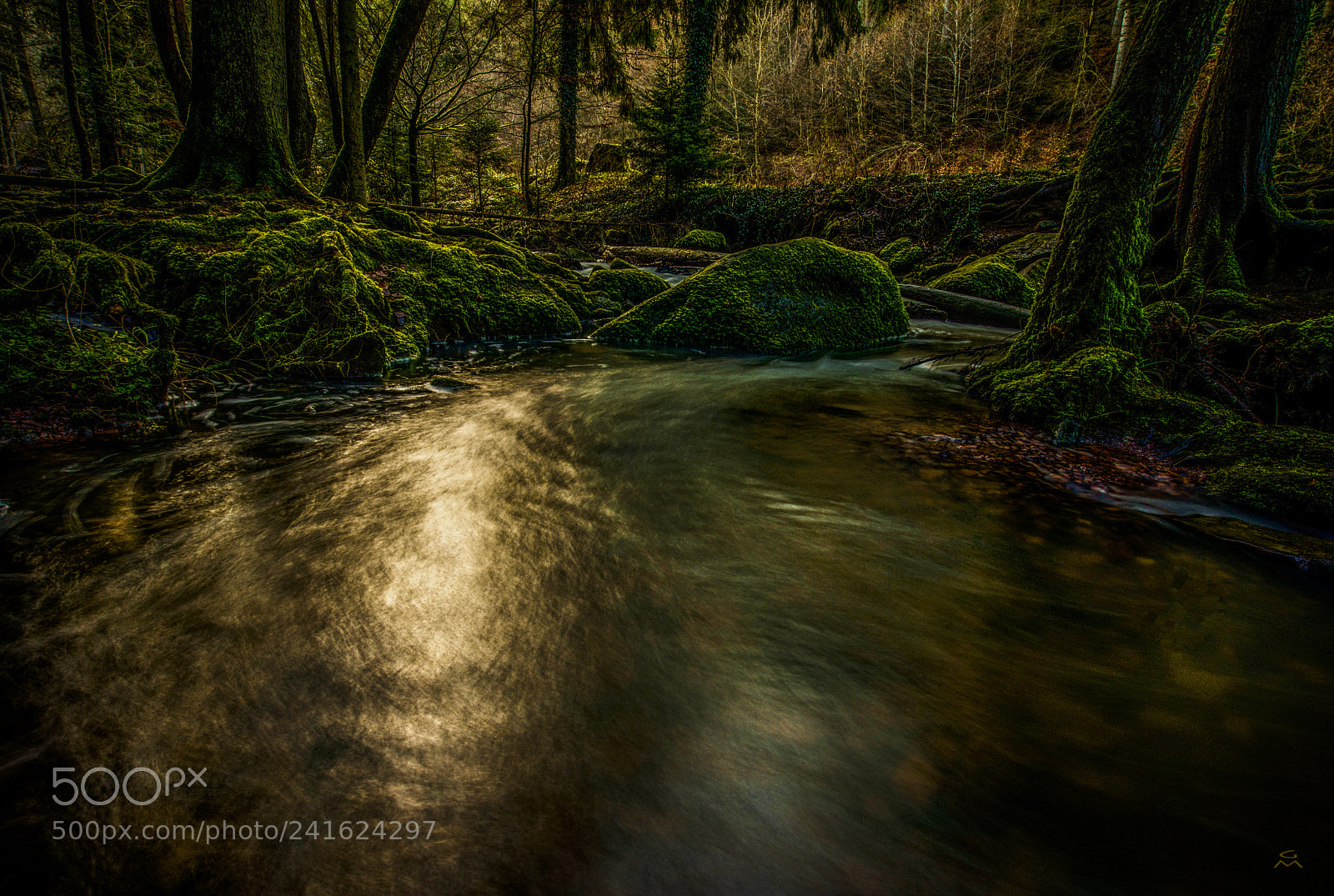 Nikon D800 sample photo. Monbach canyon - dark photography