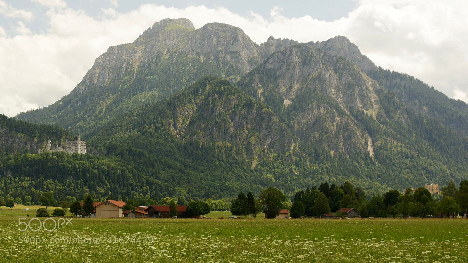 Pentax K-3 sample photo. Alpine foothils photography