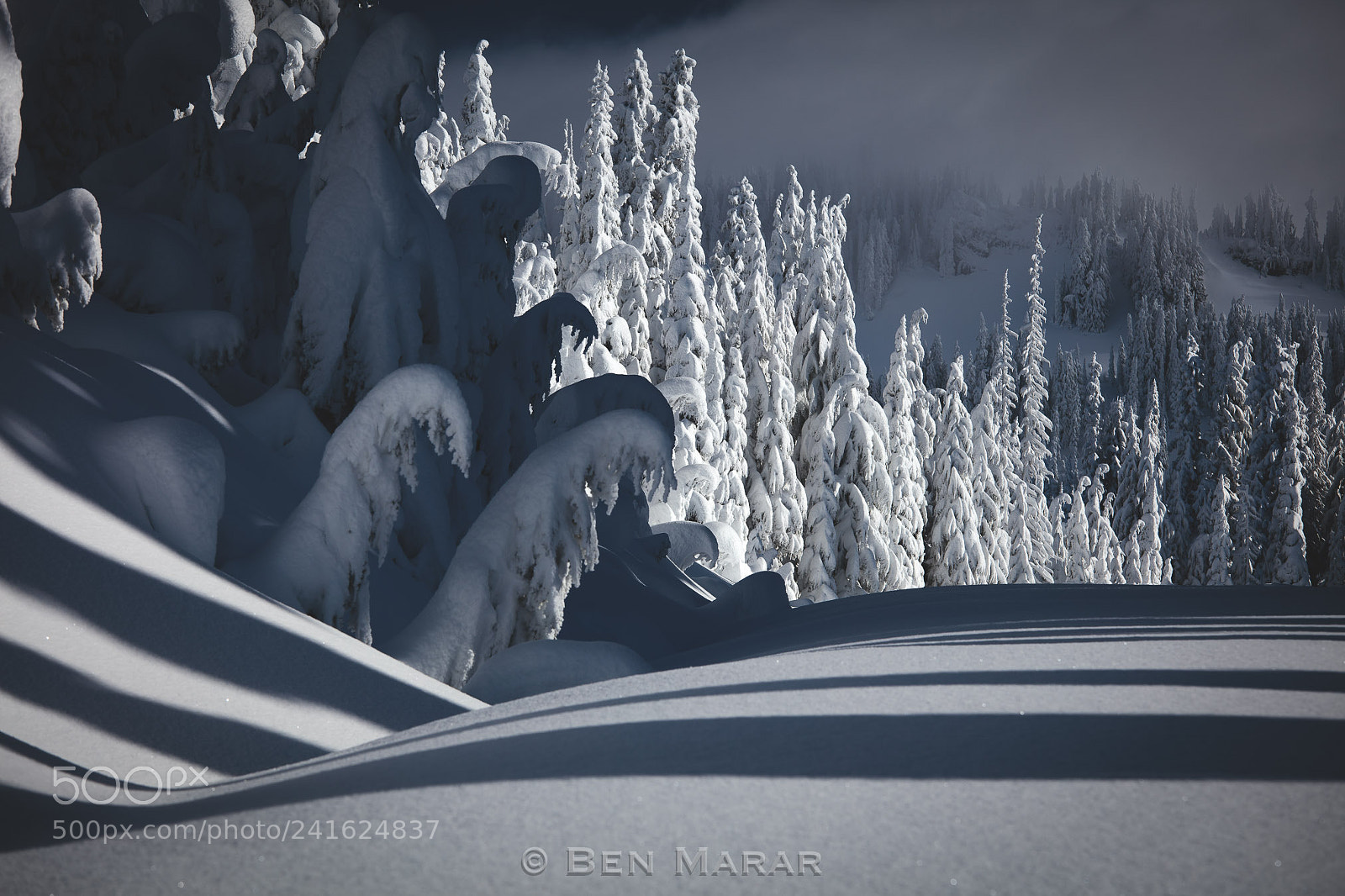 Canon EOS 5DS R sample photo. The winter wears prada photography