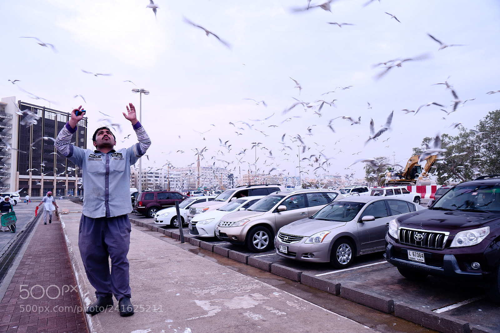 Leica SL (Typ 601) sample photo. Freedom ? photography
