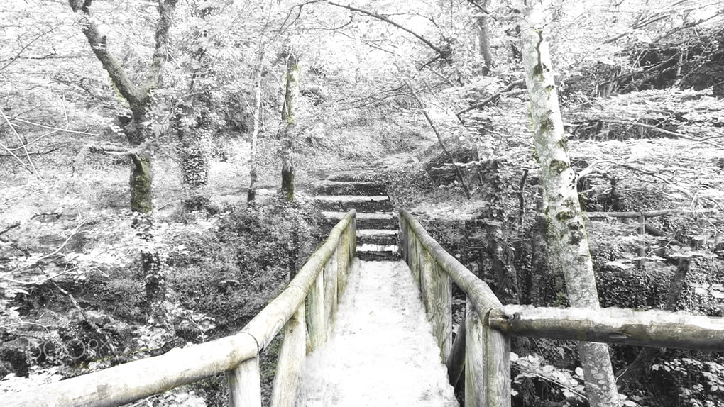 Panasonic Lumix DMC-FZ300 sample photo. Aspecto invernal photography