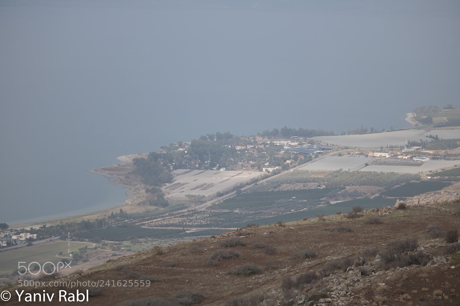 Canon EOS 750D (EOS Rebel T6i / EOS Kiss X8i) sample photo. Ein gev from mevo photography