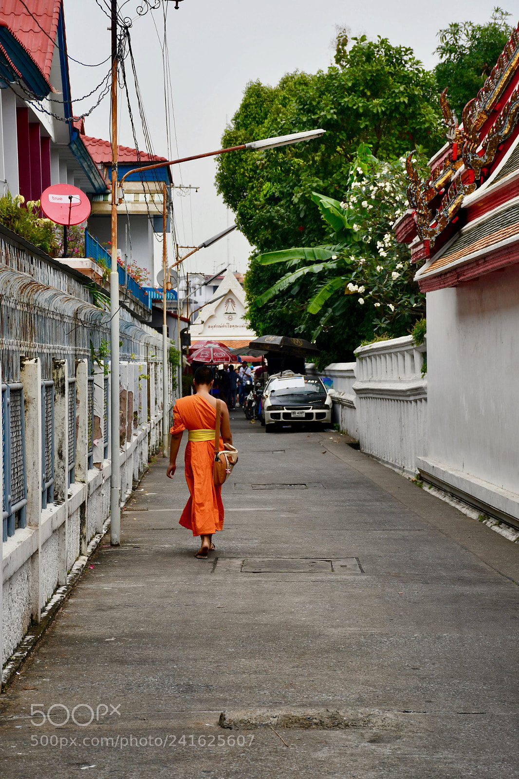 Nikon D7500 sample photo. พระภิกษุสงฆ์ photography