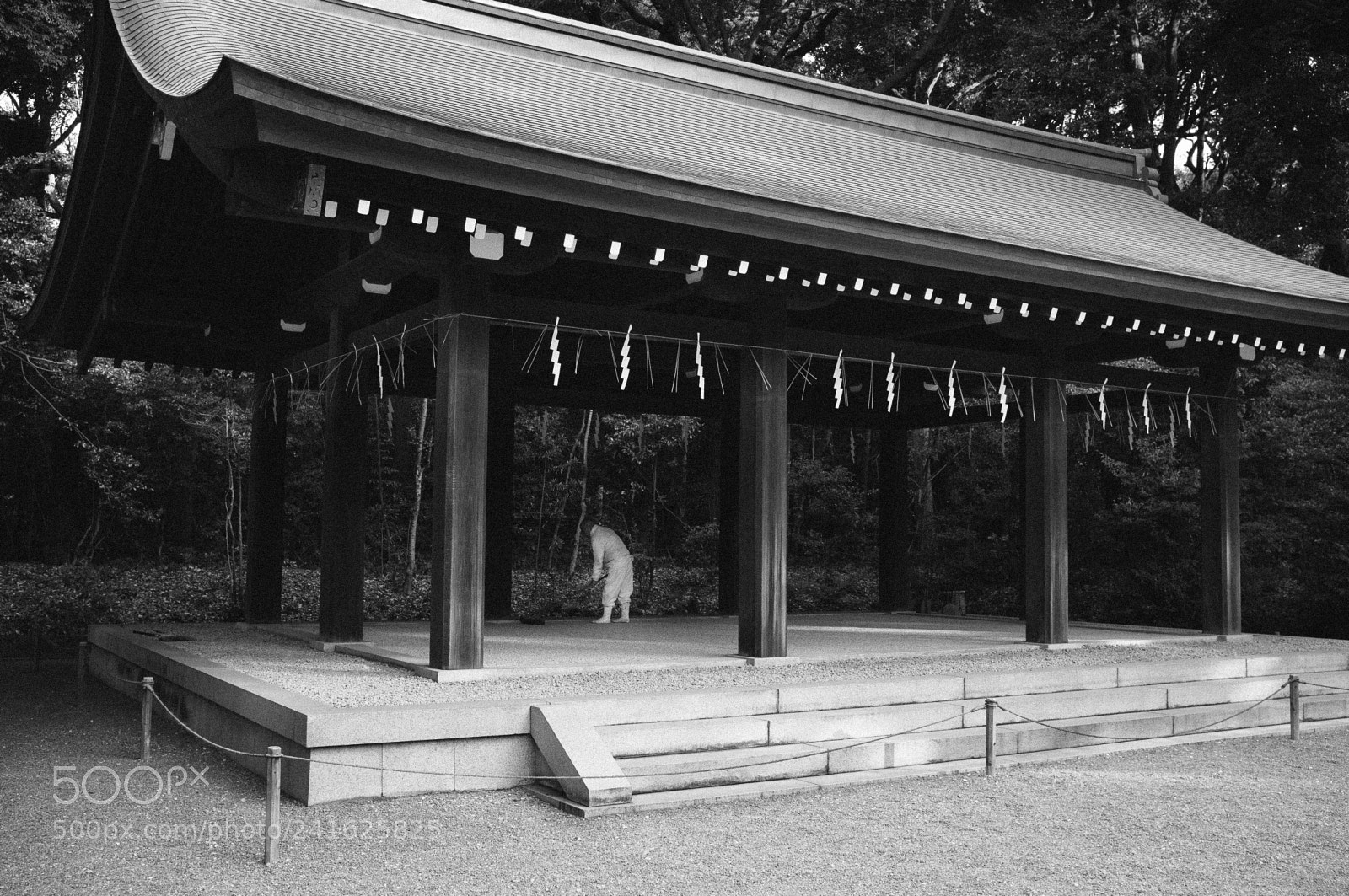 Fujifilm FinePix X100 sample photo. Raking pebble photography