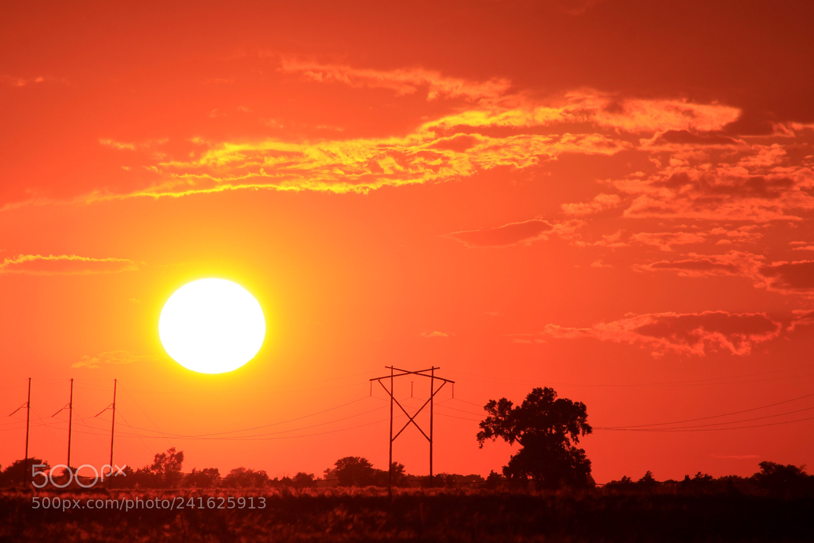 Canon EOS 60D sample photo. Kansas blazing orange and photography