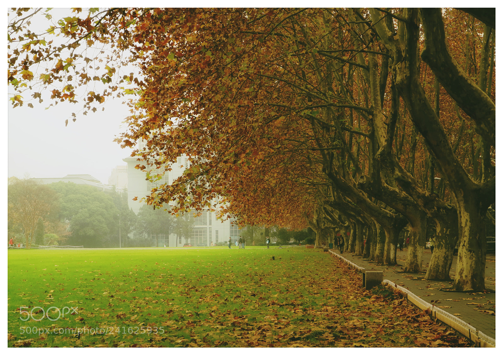 Canon EOS M3 sample photo. Autumn photography