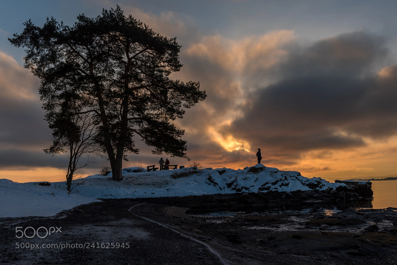 Nikon D810 sample photo. Oslo photography