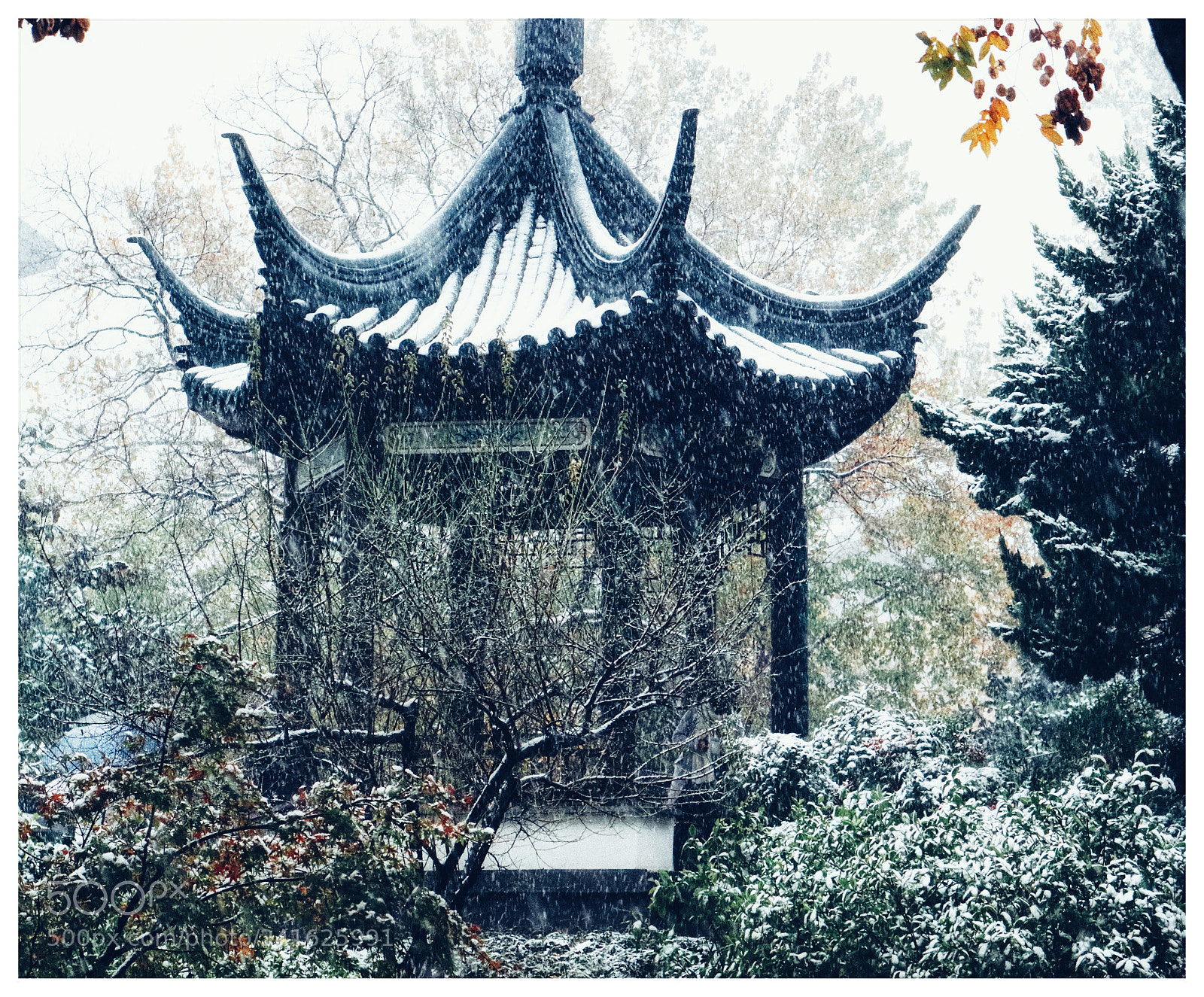 Canon EOS M3 sample photo. Winter photography