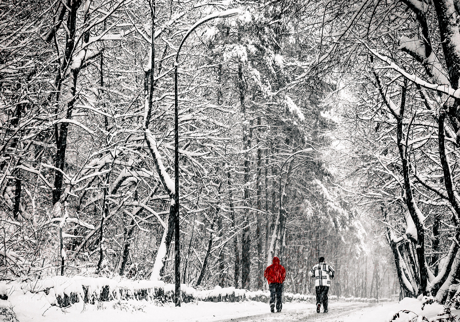 Nikon D3100 sample photo. Winter photography