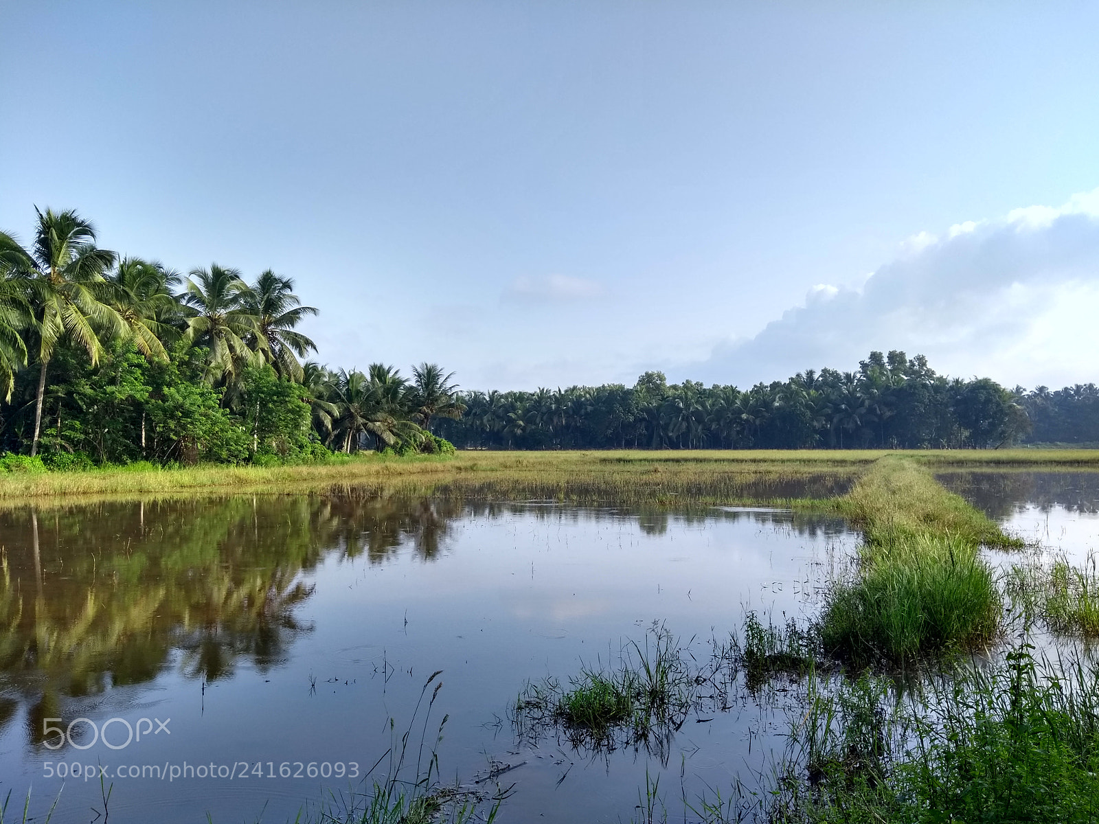 Motorola Moto G (5th Gen) sample photo. Untitled photography