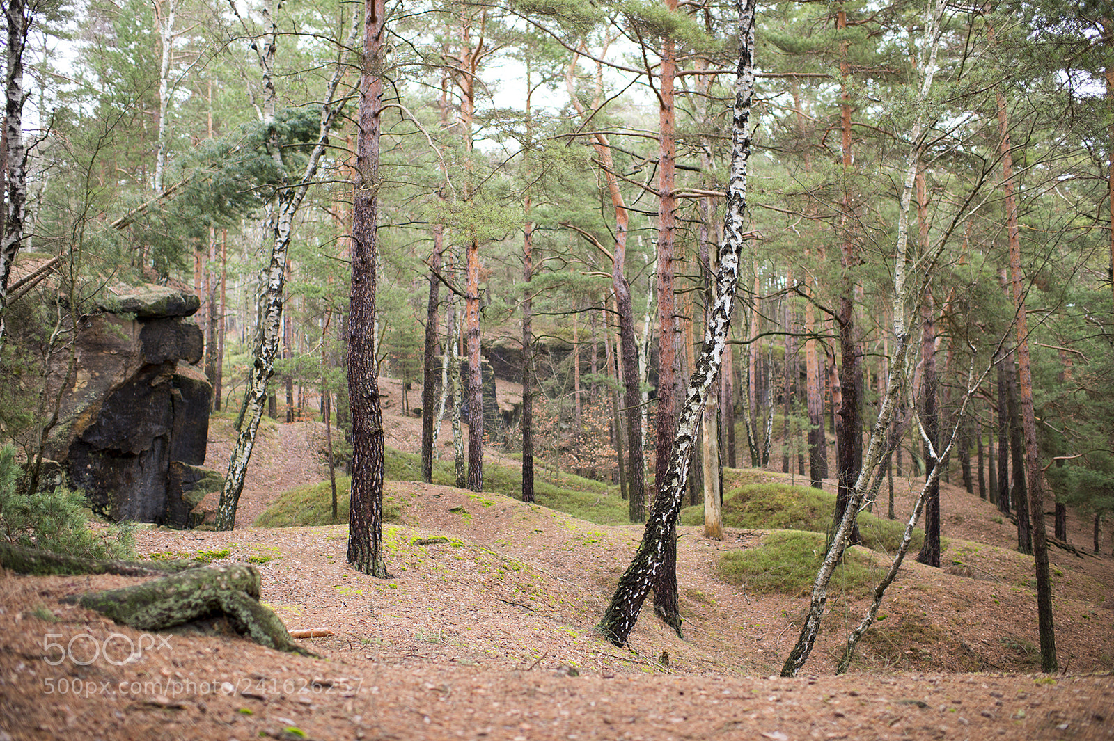 Nikon Df sample photo. Borderland with germans photography