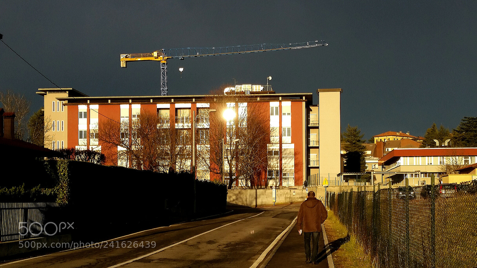 Samsung Galaxy S5 sample photo. Crane photography