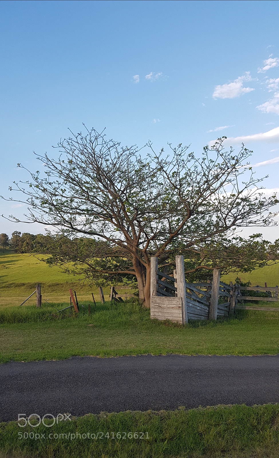 Samsung Galaxy S7 sample photo. The farm photography
