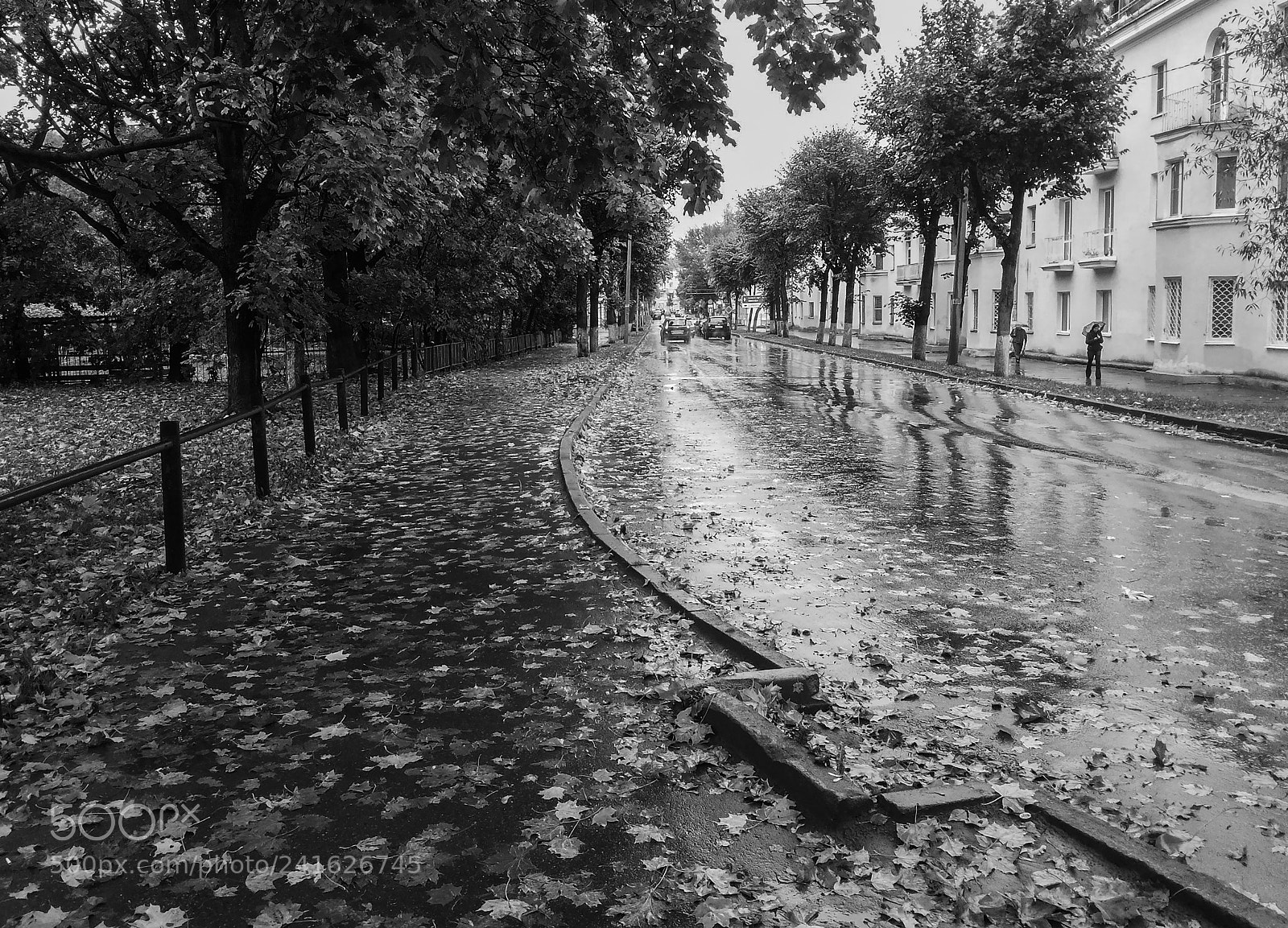 Samsung Galaxy Grand Duos sample photo. A rainy day photography