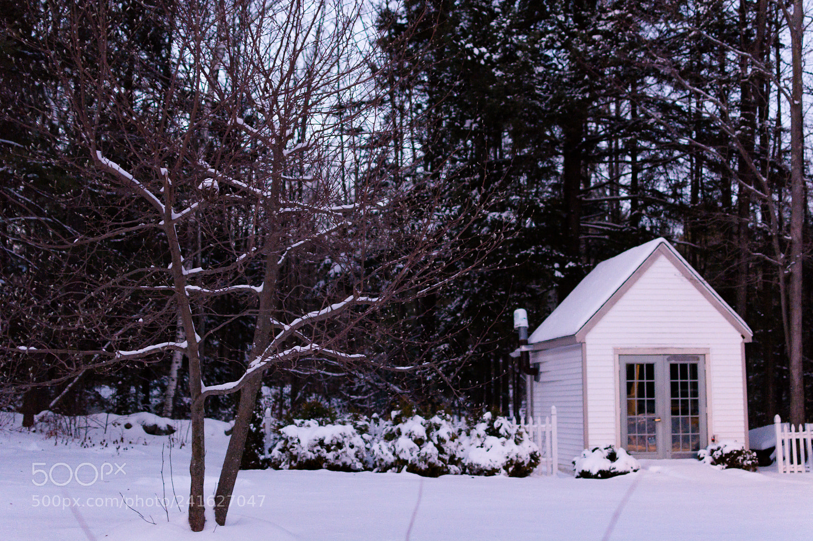 Nikon D7100 sample photo. Christmas day photography