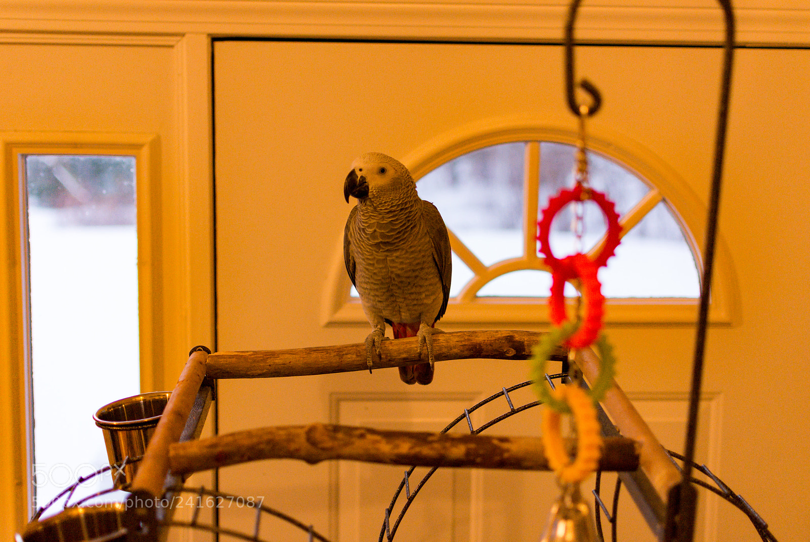 Nikon D7100 sample photo. Sparky photography