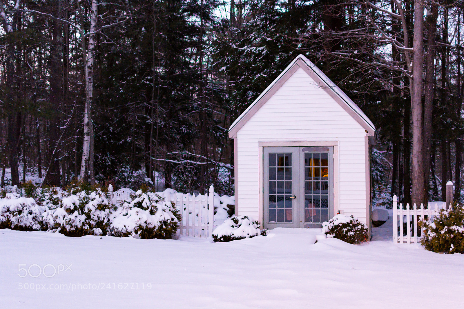 Nikon D7100 sample photo. White snow photography