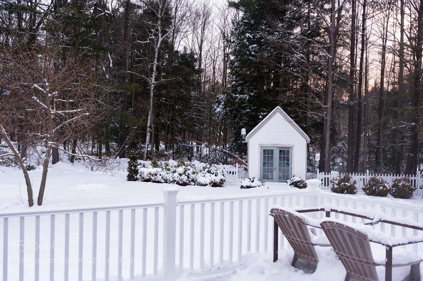 Nikon D7100 sample photo. Frozen backyard photography
