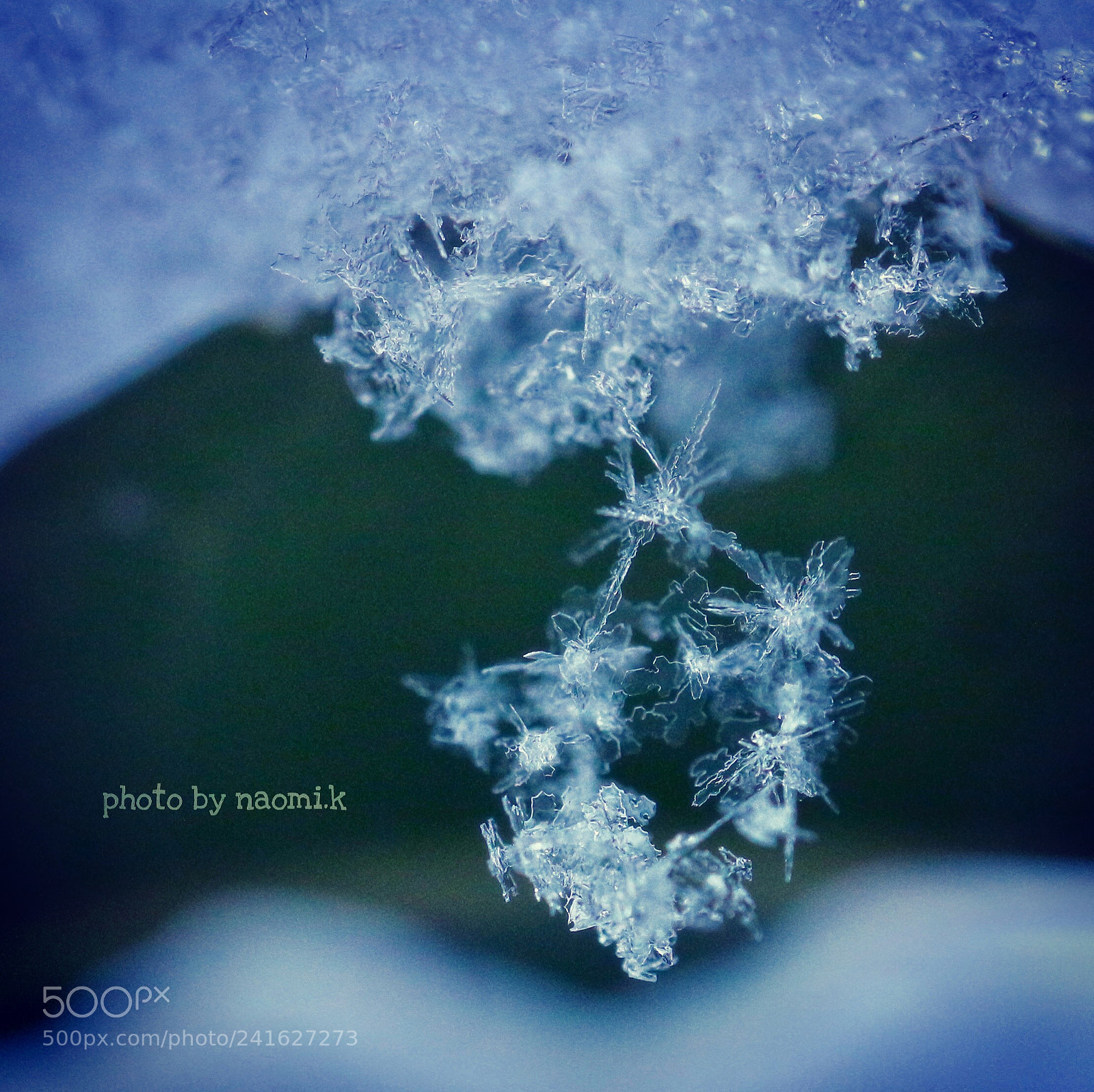 Canon EOS M10 sample photo. Snow flower photography