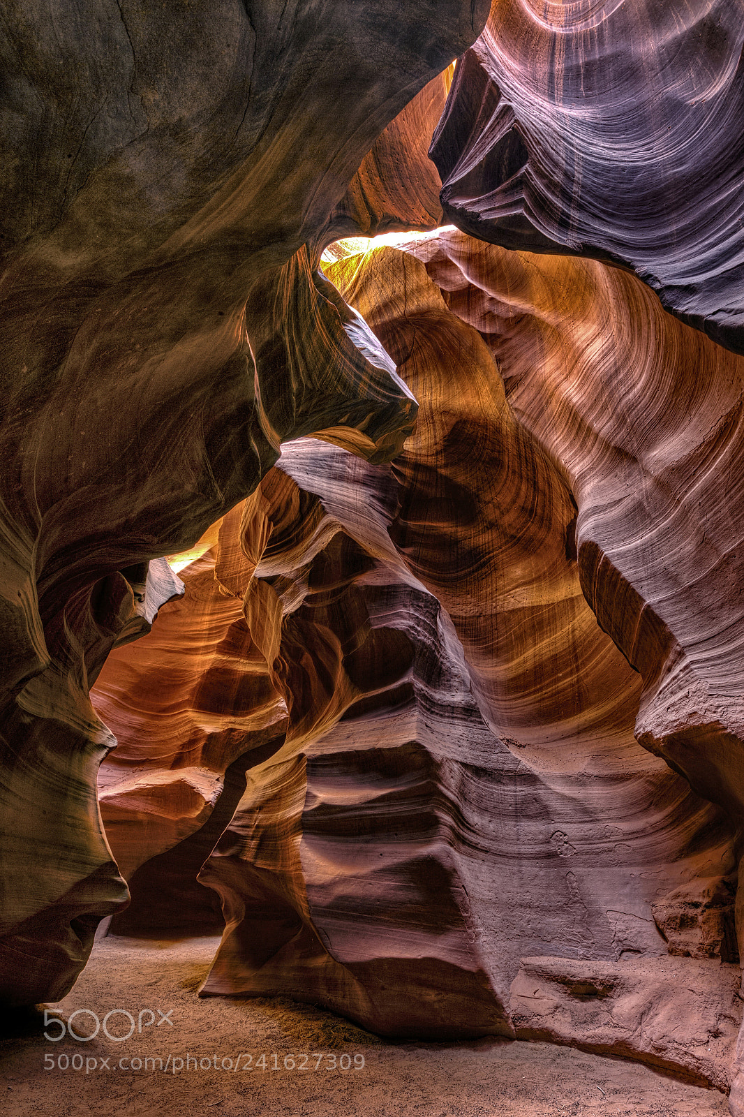 Canon EOS-1D X sample photo. Antelope in color photography